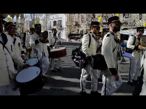 Banda di Lanciano - Marcia A voi Brontoloni - Festa di San Trifone 11/11/2022 - Adelfia