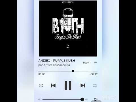 ANDIEX- Purple Kush🍁 (🅱️OYZ IN THE HOOD)