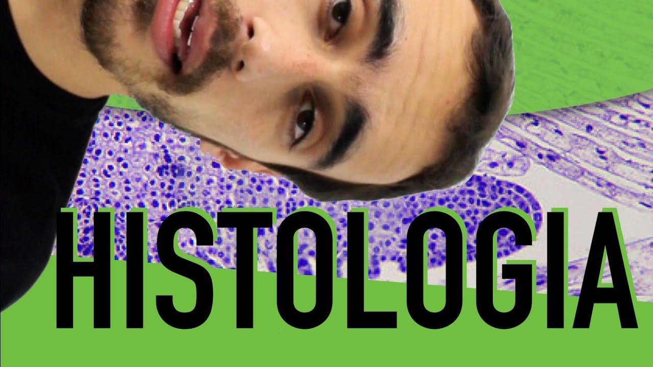 Botânica - Histologia Vegetal: Meristemas e Tecidos de Revestimento