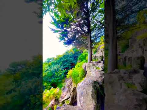 view of the Zigzag Path located in Folkestone, Kent, England.