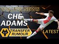 CHE ADAMS 🚨 Wolves In Advanced Talks to Sign Southampton Striker