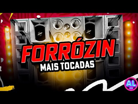 AS MAIS TOCADAS DO TIKTOK 2K24 - FORRÓZIN AS MELHORES 2024 - SELEÇÃO PRA PAREDÃO - RAMONZIN LAPADA
