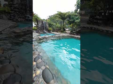 Rojo Verde y Ajo en el cantón La Maná