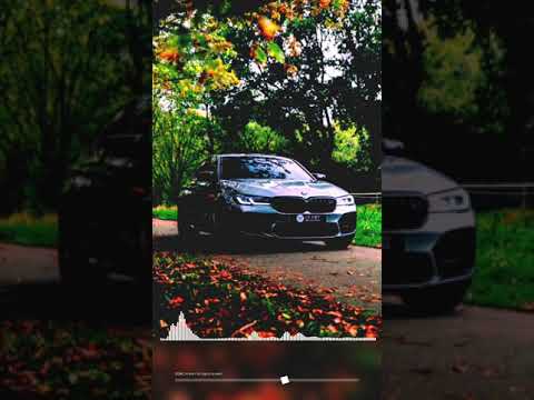 EQRIC, Pharaoh & Ceara Cavalieri- The Cure