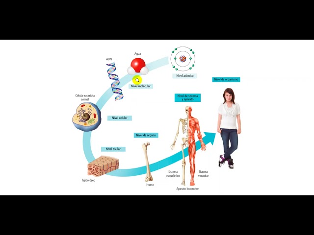 Vídeo relacionado con Biología y Geología. 3 Secundaria. Bloques. Revuela. Región de Murcia - 9788413927893