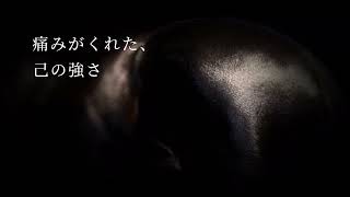 【阪神大賞典】JRAのCM風〜シャケトラ〜