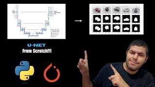 Implement and Train U-NET From Scratch for Image Segmentation - PyTorc
