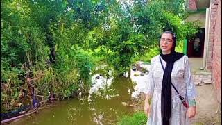 ਤਾਸੀਰ #Taseer _ the punjabi poetry