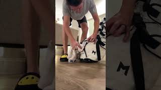 Dirt is no match even for the white bag #golf #golfbag #golfer #golflife #surprise