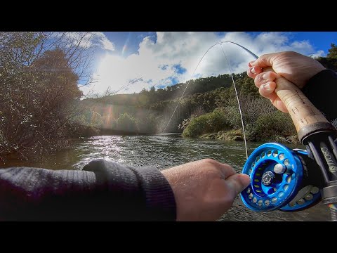 Fishing a flooded river! Perfect conditions for Trout!!