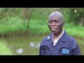 THE CRYING STONE OF TRANS NZOIA PST TIMOTHY KITUI S FATHER SHARES ABOUT THE STONE IN HIS HOME