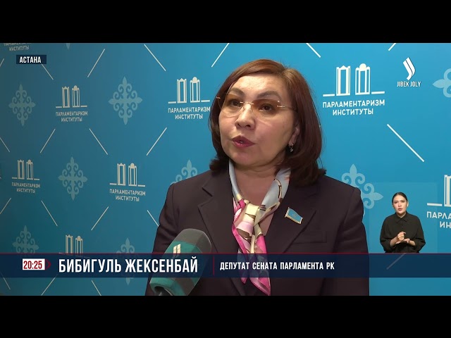 Единую цифровую базу казахских терминов могут внедрить в РК