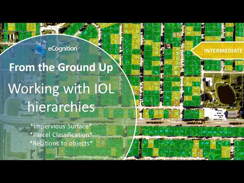 Einführung in die Arbeit mit IOL-Hierarchien