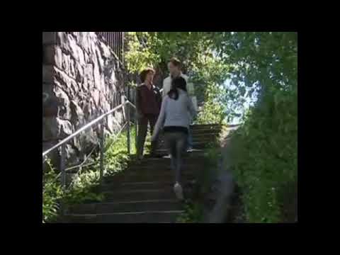 Salkkarit - Sebastianin "Stuban" paluu 1 (2009)