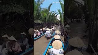 Vietnam - Mekong Delta #short #shorts #shortvideo