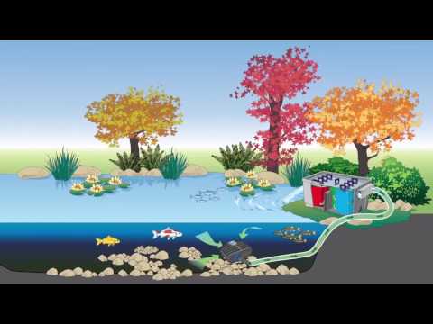 Watch Video on YouTube