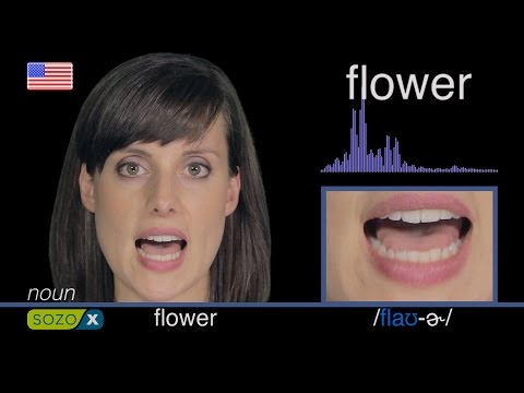 How To Pronounce FLOWER - American 英語の発音 pronunciación de Inglés 美國英語 Cách phát âm