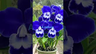 2 de dezembro de 2025