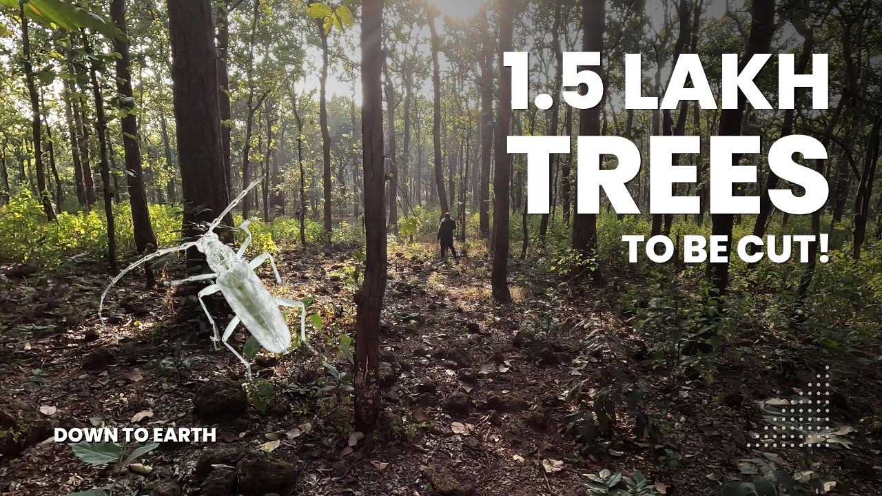 Why is Madhya Pradesh cutting 150,000+ trees?