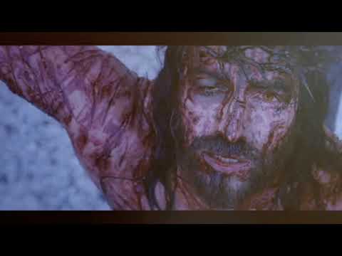 Mala Krunica Kristova Lica