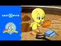 Baby Looney Tunes Scavenger Hunt Cartoonito