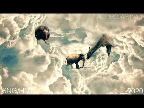 Autopark - NIJE MOJA STVAR (2019.)