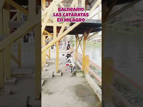 COMPLEJO TURÍSTICO LAS CATARATAS MILAGRO GUAYAS #videoshort #parati #yotubeshort #balnearios