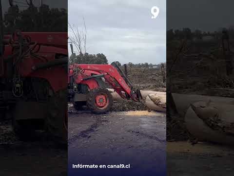 Tornado EF1 deja un herido, viviendas dañadas y cortes de luz en la comuna de El Carmen, Ñuble