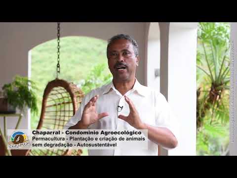Paulo Silva apresenta o Condomínio Chaparral