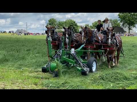 Horse Progress Days 2021 hay demo with 24’ cycle bar mower part 1 of 2 on the mower