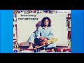 Cathedral In A Suitcase - Pat Metheny