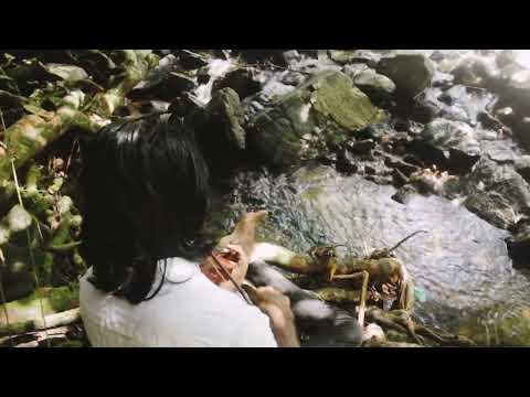 Save mother Erth Thushara Thillakarathna Sprituel Violinist