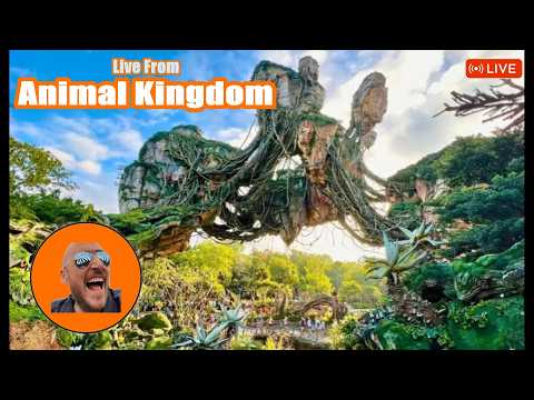 Live webcam of Theme Park Giant