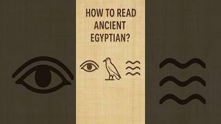 Learn Ancient Egyptian Hieroglyphs in 60 Seconds 🏺📜 #shorts