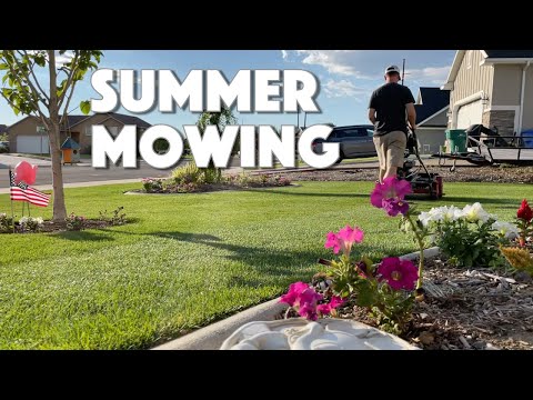 The BEST TIME TO MOW Your Lawn IN SUMMER