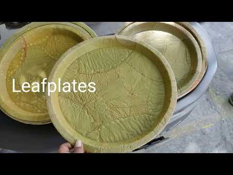 Areca Leaf Plate