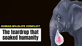 When the world wept for the Kerala jumbo - Download this Video in MP3, M4A, WEBM, MP4, 3GP