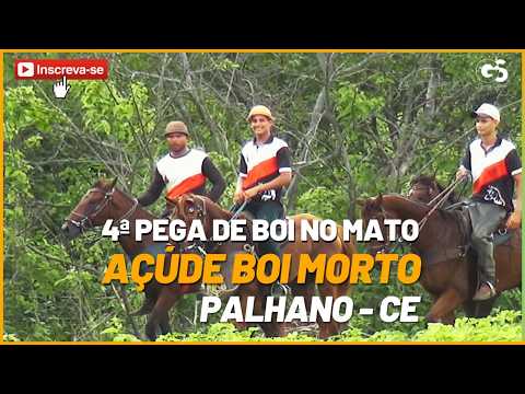 Gecilio Silvério Cobertura - 4ª Pega de Boi | Açúde Boi Morto no Palhano - Ce.