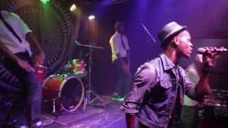 Greg Machado Live Performance