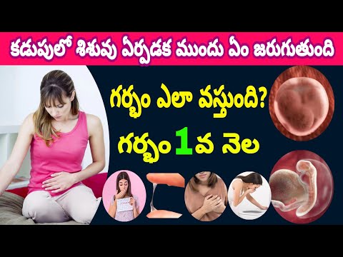 Pregnancy 1st Month Symptoms & Body Changes in Women | 1st Month of Pregnancy Symptoms | Pregnancy