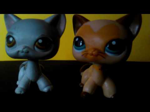 Phelipe feat. Carmen-Sah Mat