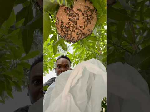 Don’t trouble , trouble 😢