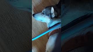 Jonathan Segel plays guitar. Finnigan's sleep.