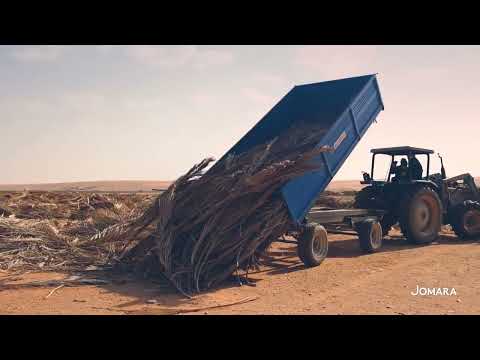 Jomara Farm - KSA