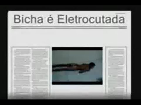 Bicha é eletrocutada