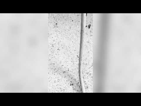 adambracho - sedim doma a pisu shit, kterej nikdy nenahraju #tadytojefreestyle