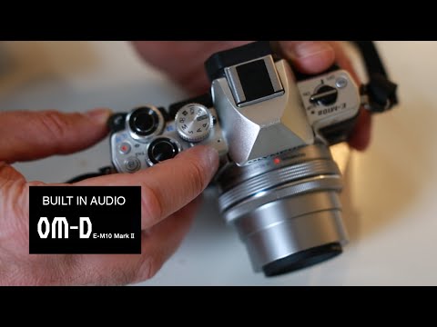 Olympus OMD EM 10 Mark II audio sample - Face to Camera