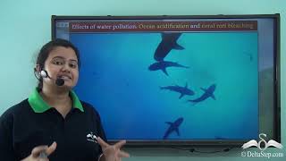 Effects of Water Pollution