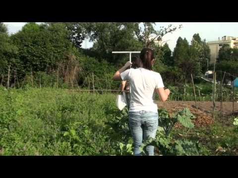 GRAU - Estudo de avaliação dos níveis de metais pesados nas hortas urbanas