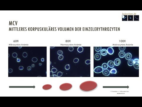 Prostata-Flora Tabletten von Prostatitis Prostamol uno Preis
